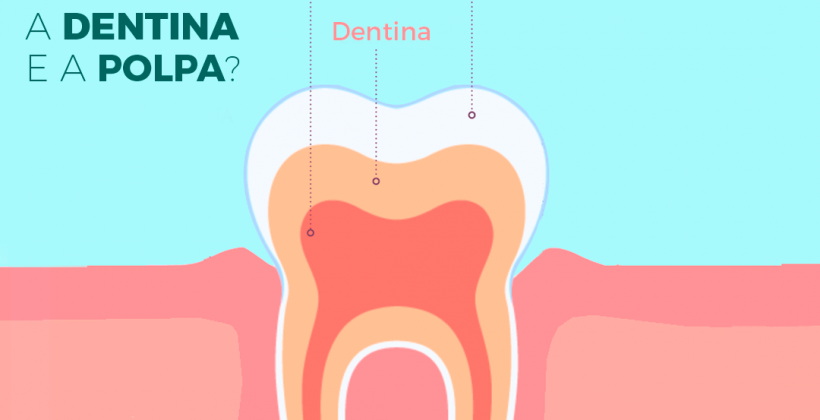 Para que serve o Esmalte, a Dentina e a Polpa?